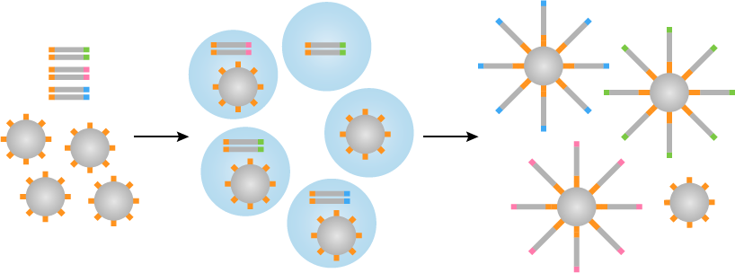 乳液PCR