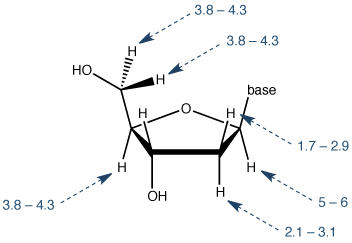 在核酸中的1H NMR谱中观察到的脱氧核糖的关键残基的NMR化学位移